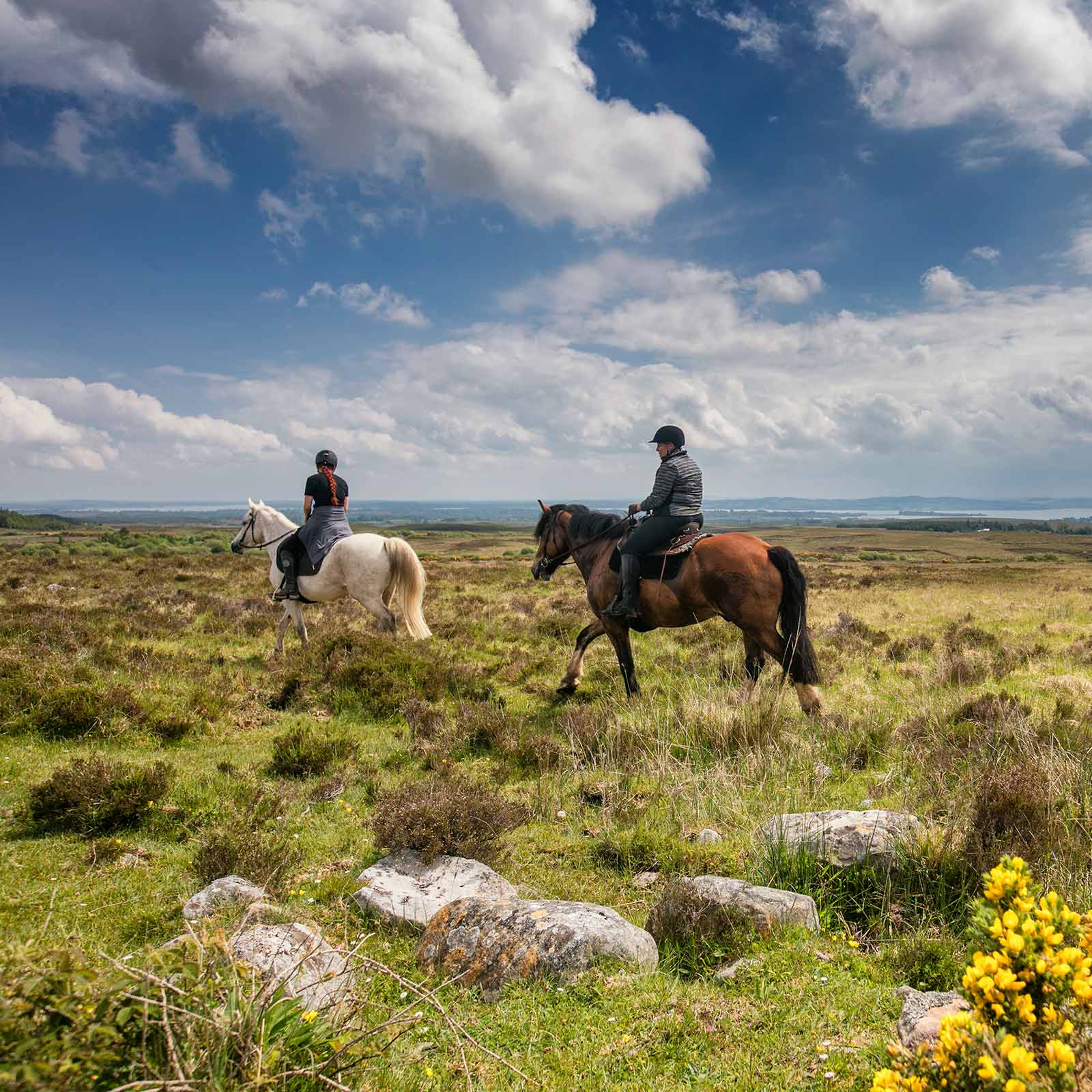 Two riders in a meadow in County Clare